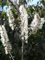 DSCN0076.webp