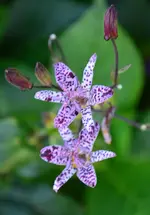 DSC_5857.webp