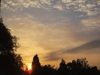 DSCF9033.webp