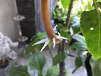 DSCF9050.webp