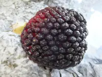 DSCF9056.webp