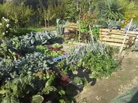 20151011_Garten.webp