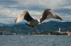 1-0655.webp