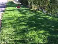 Kommunaler Rasen im Herbst 2015.webp