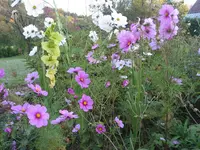 002.webp