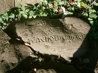 PA110658.webp