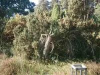 PA110660.webp
