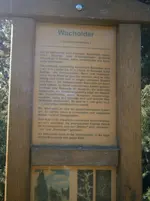 PA110664.webp