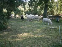 PA110665.webp