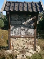 PA110671.webp