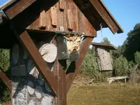 PA110673.webp