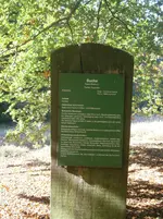 PA110678.webp