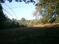 PA110680.webp