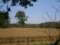 PA110681.webp
