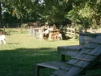 PA110682.webp