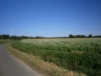 PA110684.webp