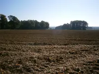 PA110685.webp