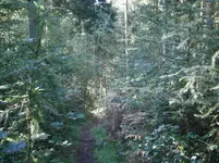 PA110688.webp