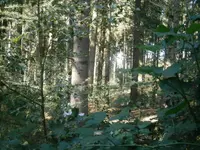 PA110689.webp