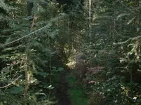 PA110691.webp