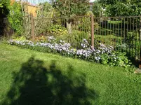 IMG_4532.webp