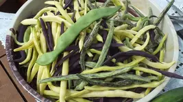image1FR0VX0H.webp