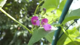 imageI2WZBH02.webp