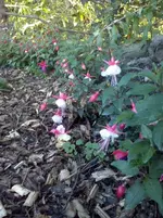 CAM01294.webp