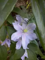 CAM01295.webp