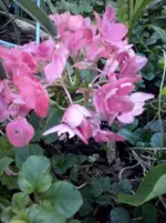 CAM01297.webp