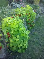 CAM01298.webp