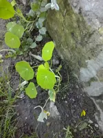 CAM01299.webp