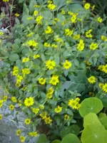 CAM01300.webp