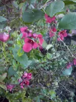 CAM01301.webp