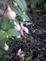 CAM01302.webp
