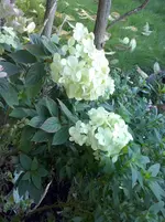 CAM01303.webp
