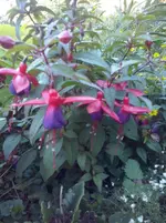 CAM01304.webp