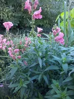 CAM01305.webp