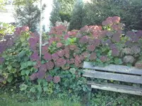CAM01306.webp