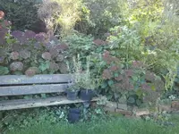 CAM01307.webp