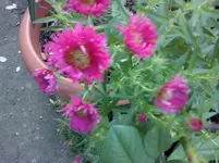 CAM01311.webp
