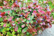 DSCF3815 (2).webp