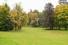 DSCF3803 (2).webp