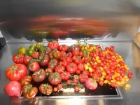 DSCN3192.webp