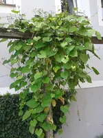 20151012_143355.webp