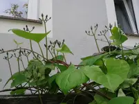 20151012_143401.webp
