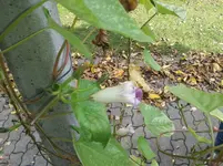 20151012_143458.webp 20151012_143458.webp