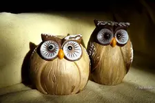 _Eulen.webp