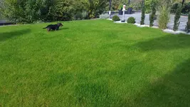20151012_142845.jpg