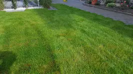 20151012_143944_001.webp